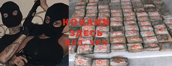 прущие грибы Новокубанск